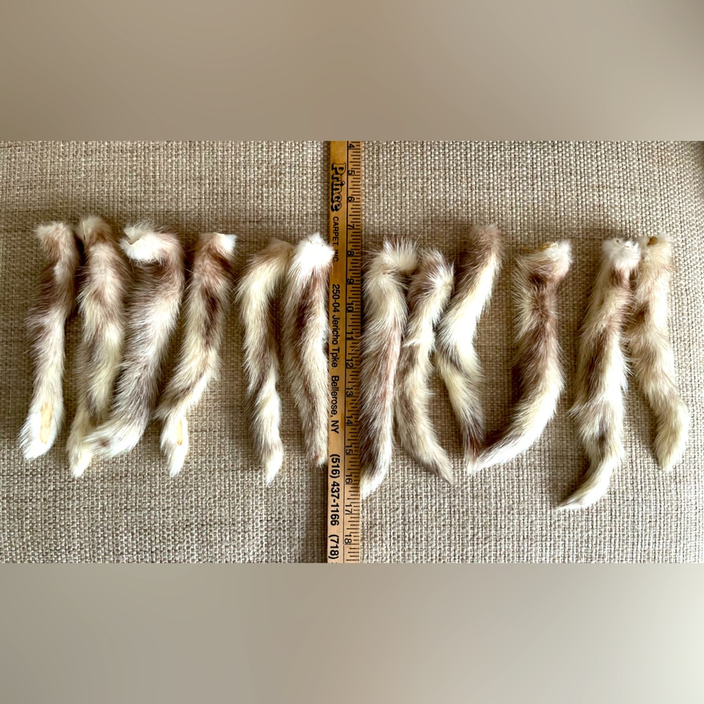 Mink Tails
